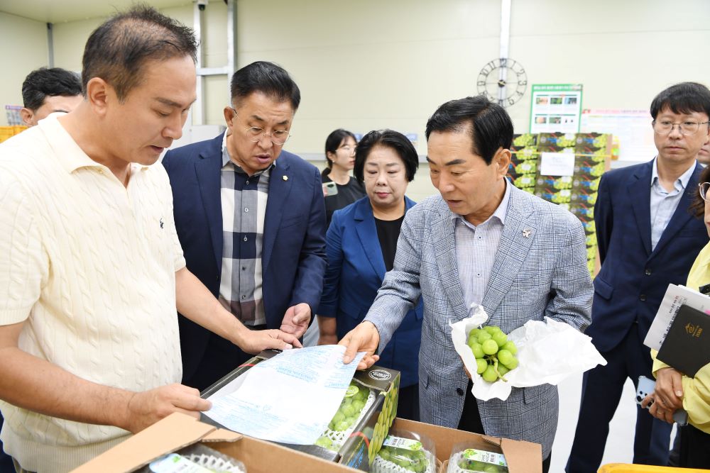 창녕군, 샤인머스켓 캐나다 수출길 올라