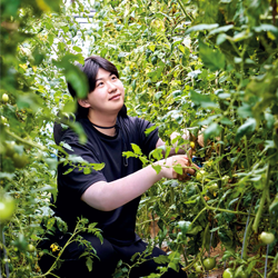 전직 프로게이머 청년 농부 토마토·오이 농사에 '승부수'