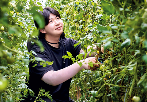 전직 프로게이머 청년 농부 토마토·오이 농사에 '승부수'